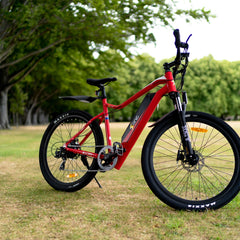 Collection image for: Sonic Discovery Electric Bike