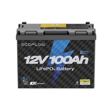 EcoFlow Lithium 12V 100Ah Deep Cycle LiFePO4 Battery