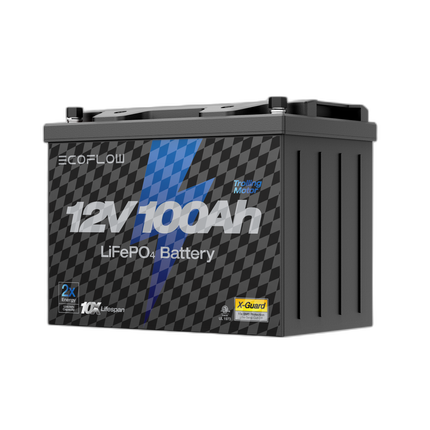 EcoFlow Lithium 12V 100Ah Deep Cycle LiFePO4 Battery