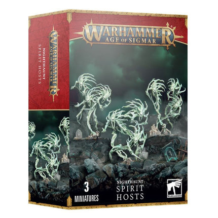 Warhammer Age of Sigmar 93-08 Nighthaunt - Spirit Hosts