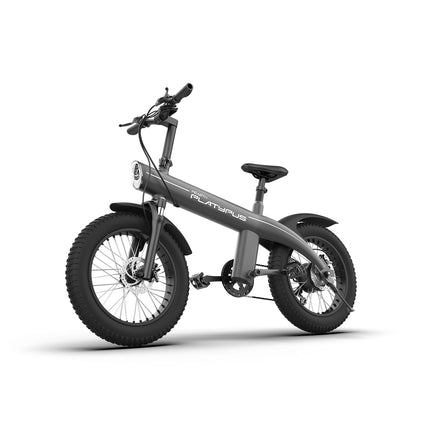 MEARTH Platypus 2024 | Electric Bike - Actiontech