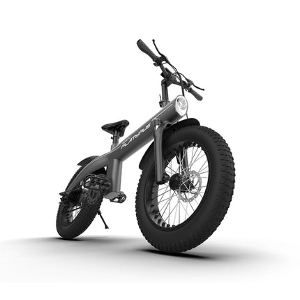 MEARTH Platypus 2024 | Electric Bike - Actiontech