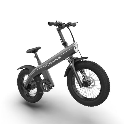 MEARTH Platypus 2024 | Electric Bike - Actiontech