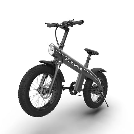 MEARTH Platypus 2024 | Electric Bike - Actiontech